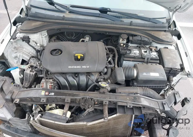 5NPD84LF0HH005389: 43944655