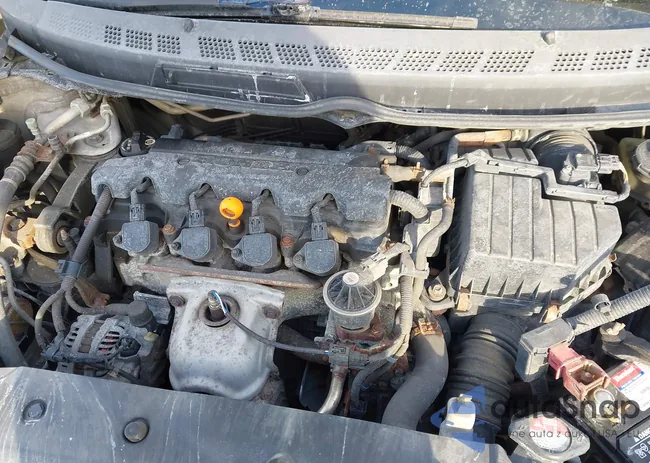 2HGFA16586H526236: 43945857