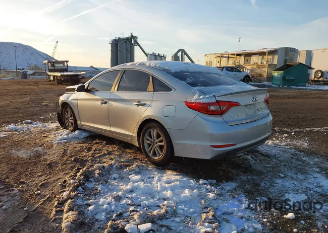 5NPE24AF2FH156224: 43946335