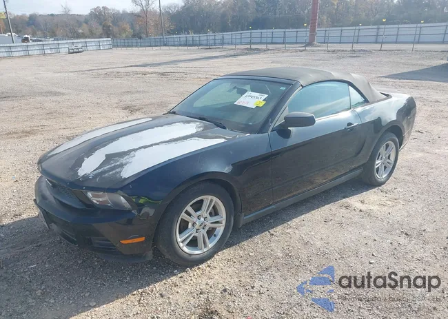 1ZVBP8EN8A5177873: 43945363