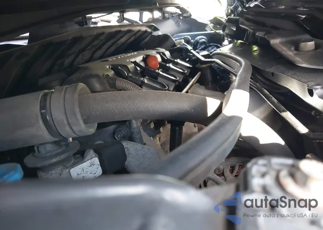 2HGFB2F55DH517381: 43945377