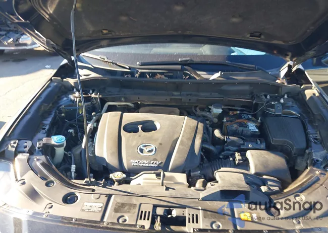 JM3KFACL0H0147196: 43945511