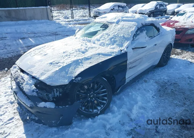 1FATP8FFXL5141366: 43945724