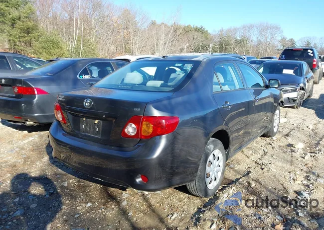 2T1BU4EEXAC391593: 43948239