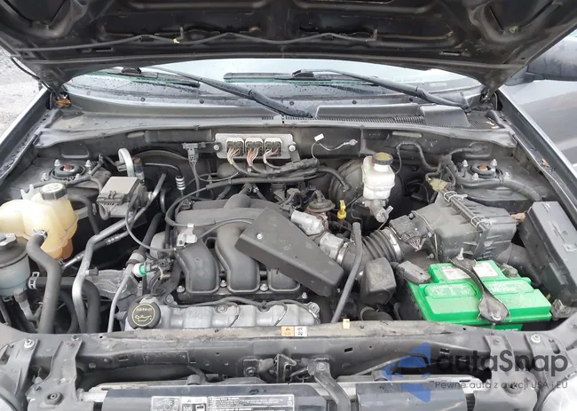 1FMYU93117KB97450: 43949215