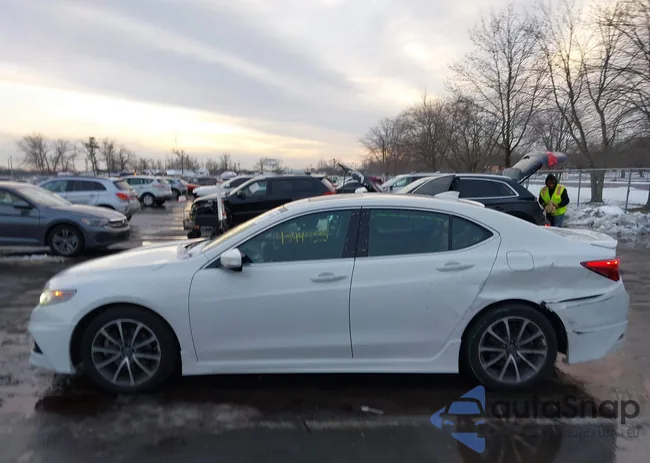 19UUB2F57HA005858: 43949335