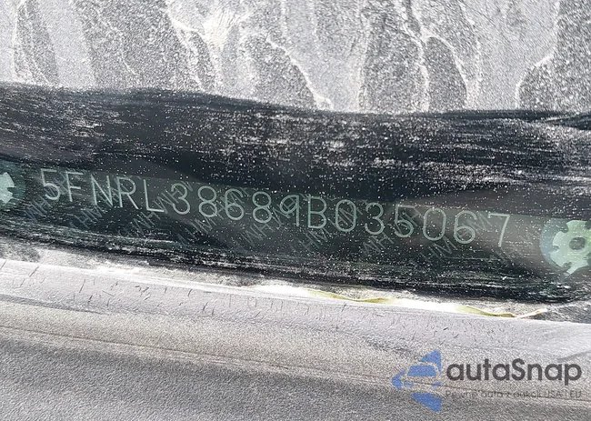 5FNRL38689B035067: 43948477