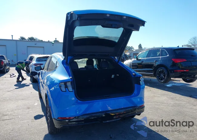 3FMTK4SXXPMA19666: 43948549