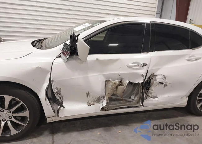 19UUB1F32GA011784: 43949843