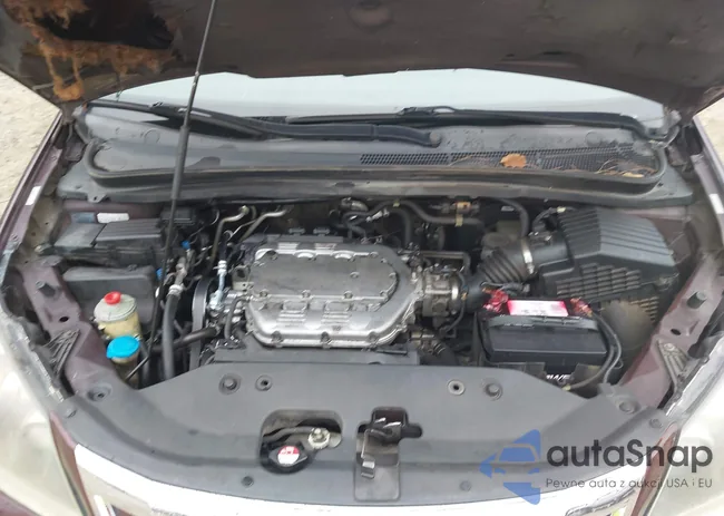 5FNRL38719B021679: 43949962