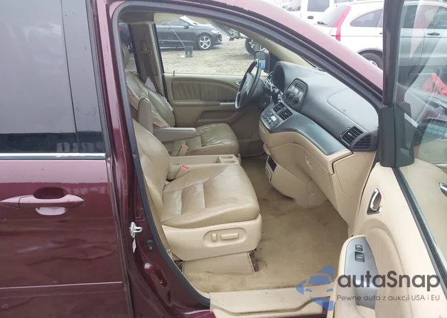 5FNRL38719B021679: 43949962