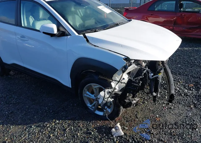 KM8K3CAB5NU876463: 43950266