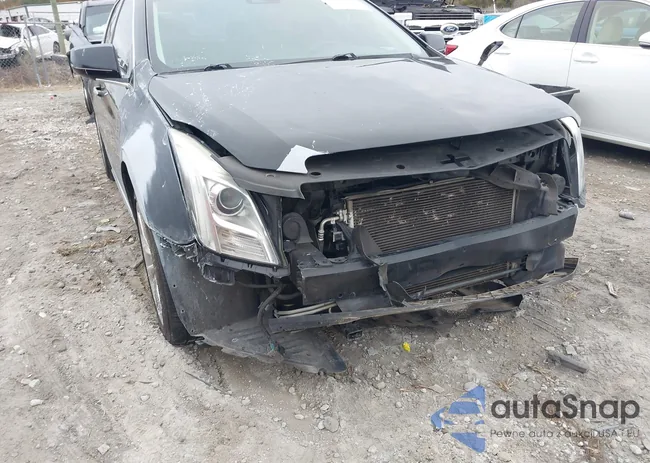 2G61P5S37D9132434: 43950301