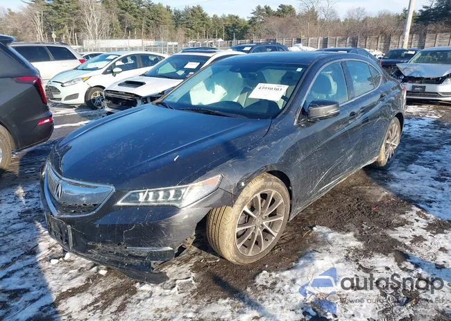 19UUB3F58FA010229: 43950303