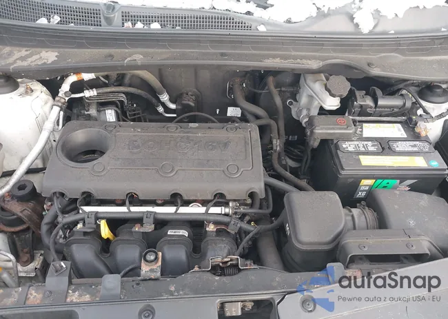 KNDPB3A21D7501888: 43949493