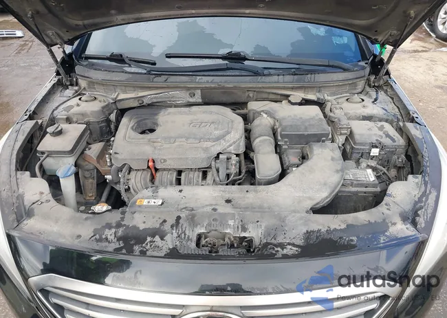 5NPE24AF1FH058107: 43949674