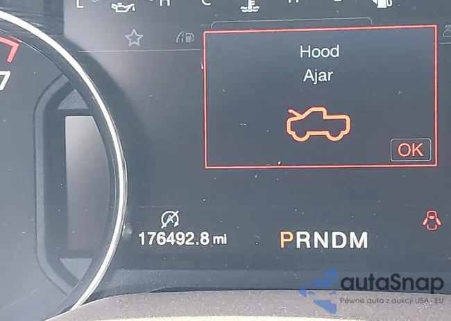 1FTEW1E55KKD49984: 43951071