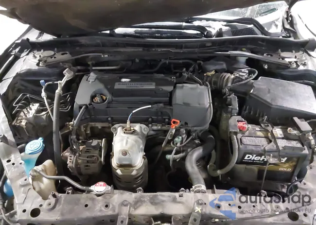 1HGCR2F58EA058796: 43951081