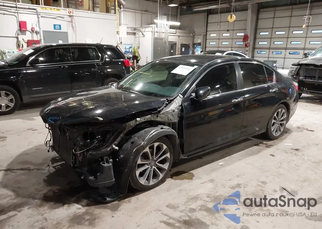 1HGCR2F58EA058796: 43951081