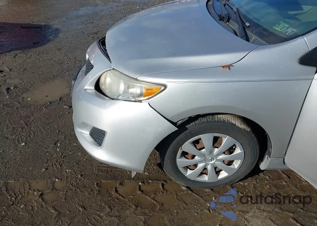 2T1BU40E89C176569: 43950381