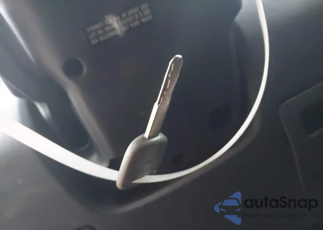 SHSRD78884U248673: 43950583