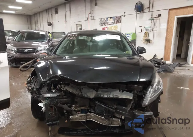 KMHE24L16HA059535: 43951785