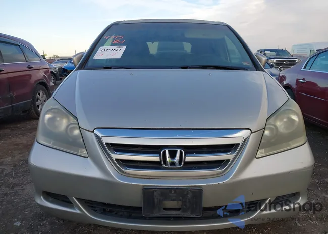 5FNRL38755B132519: 43951861