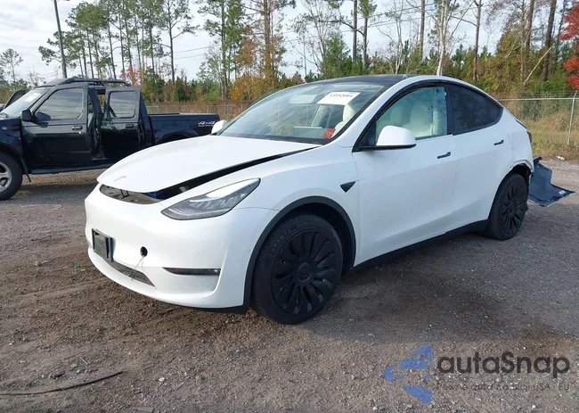 5YJYGDEE0MF249691: 43952004