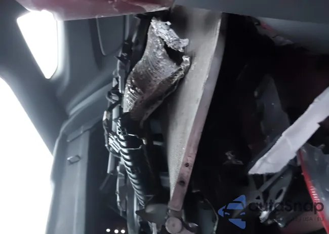 1FA6P8CF8H5256220: 43952304