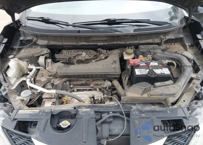 KNMAT2MT4GP596131: 43951482