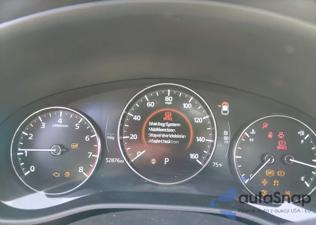 3MVDMBDM3RM601278: 43953219