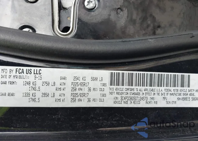 3C4PDDBG5GT124573: 43953835