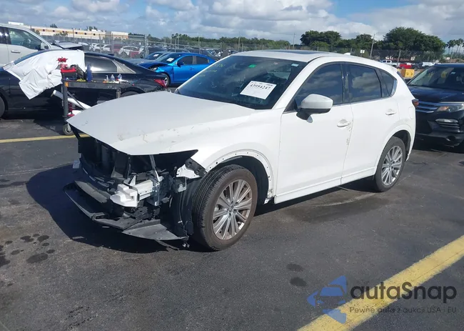 JM3KFBXYXP0106813: 43954247