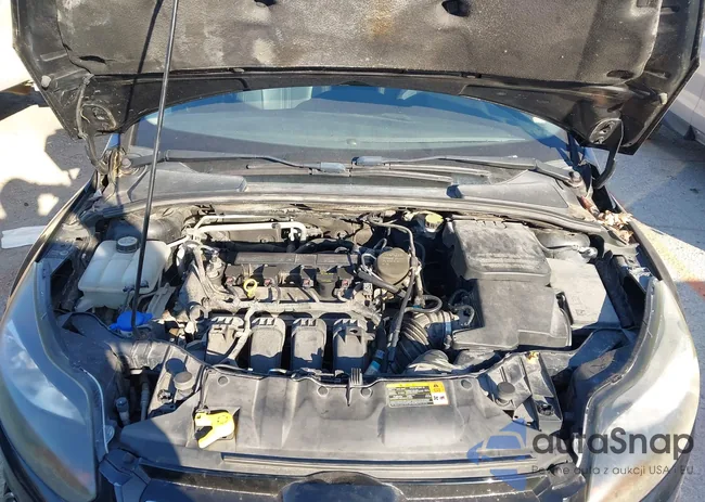 1FADP3J24DL196324: 43954295