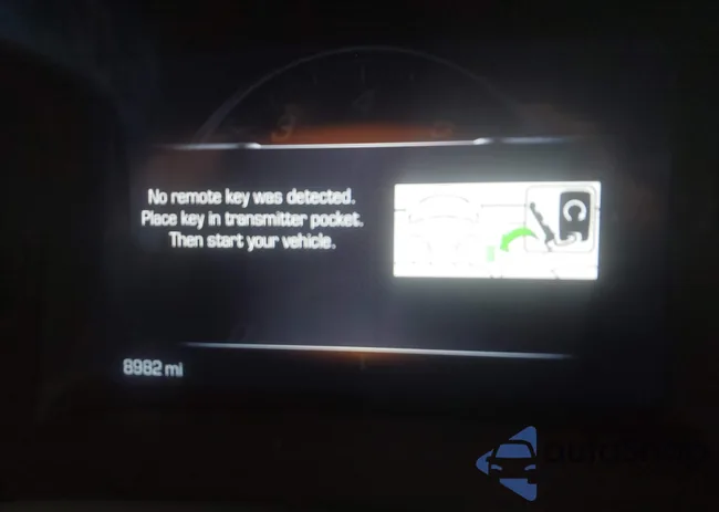 1G1YW2D79J5100292: 43954956