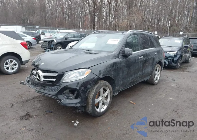 4JGDA5HB7GA692260: 43954968