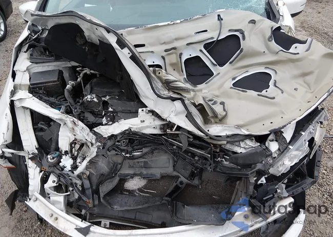 5FNRL6H7XLB009040: 43955022