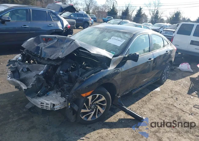 2HGFC2F75GH517447: 43955043