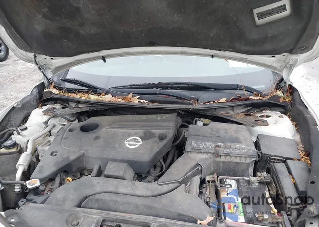 1N4AL3AP3DN580819: 43955221