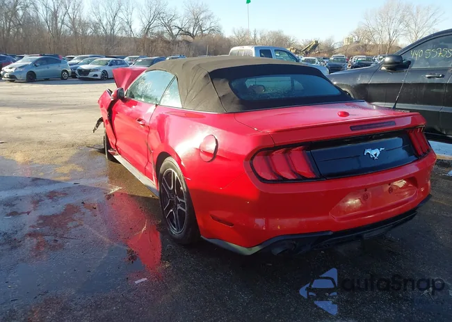 1FATP8UH3M5119134: 43955292