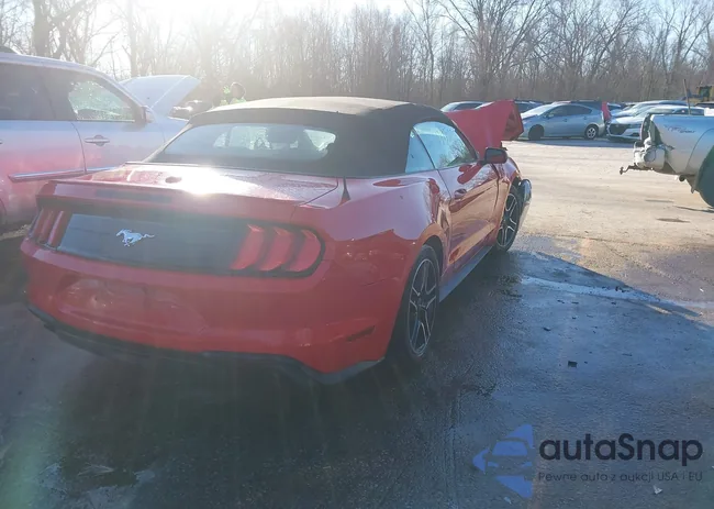 1FATP8UH3M5119134: 43955292