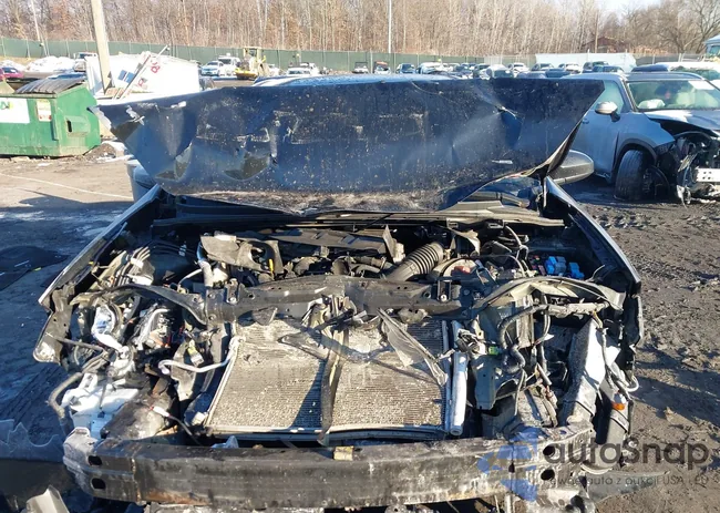 2T1BURHE2GC486246: 43955355