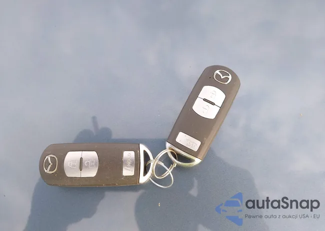 JM1BM1M3XF1229568: 43954582