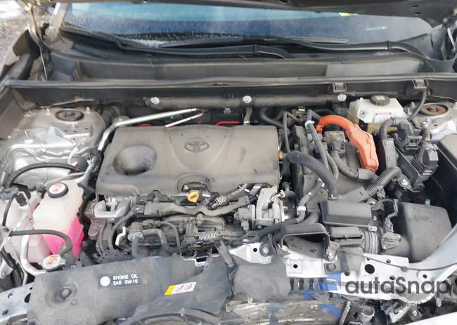 4T3LWRFV1MU019869: 43954711