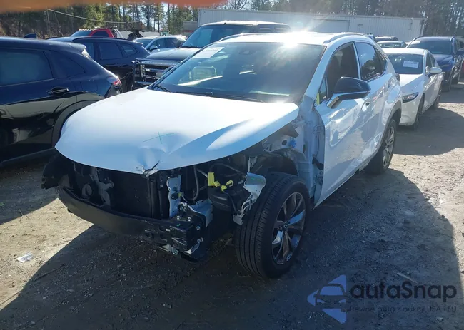 JTJSARBZXM2198728: 43954741