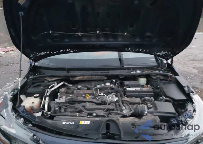 JTDS4RCE4LJ034787: 43955474