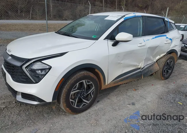 KNDPUCAFXP7036268: 43955506