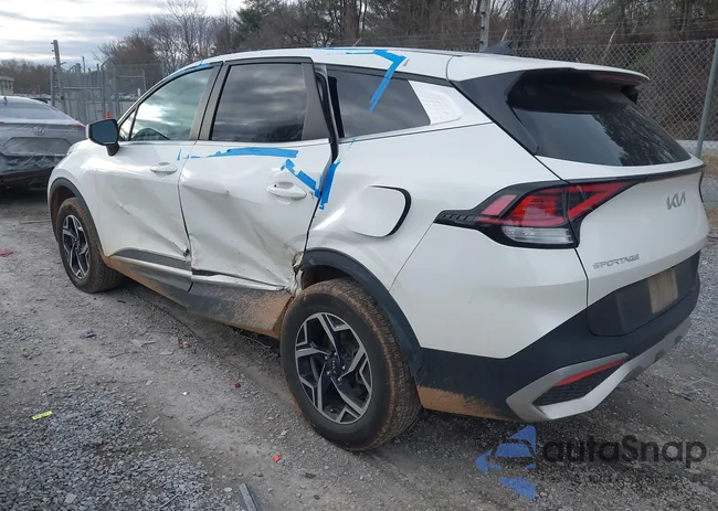 KNDPUCAFXP7036268: 43955506