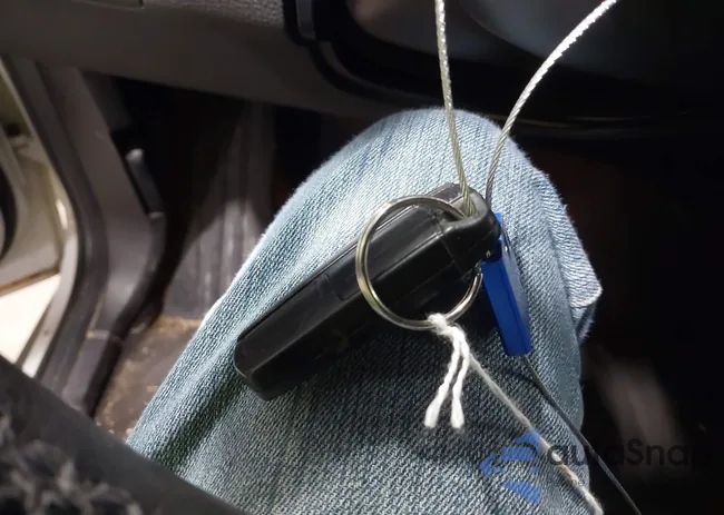 5UXZV4C56D0G50501: 43956380