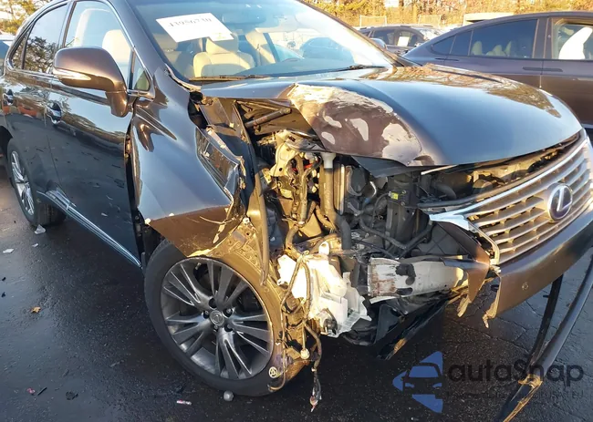 JTJZB1BA4D2007618: 43956730